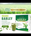 Fit gum organic Barley