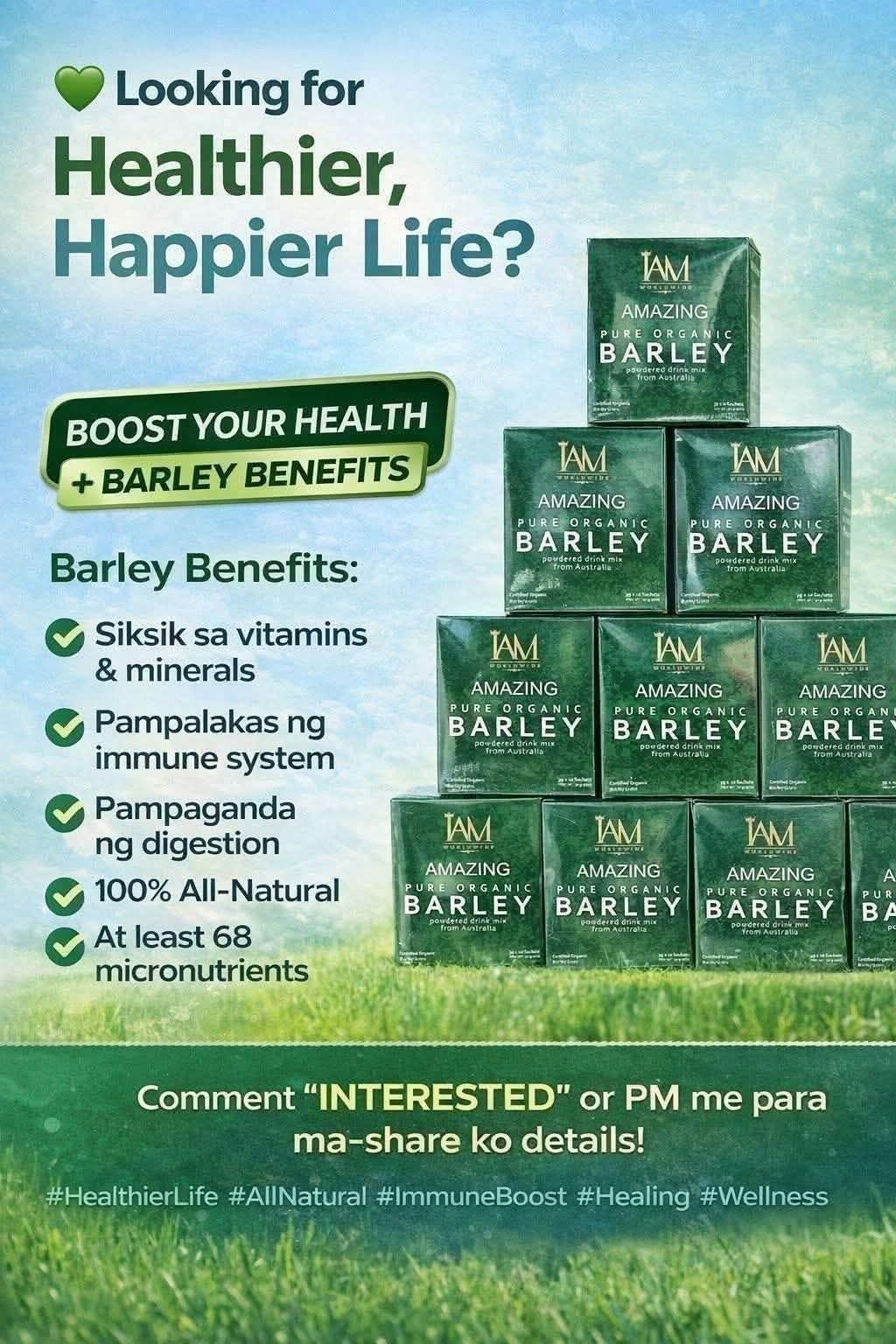 IAM Amazing Barley